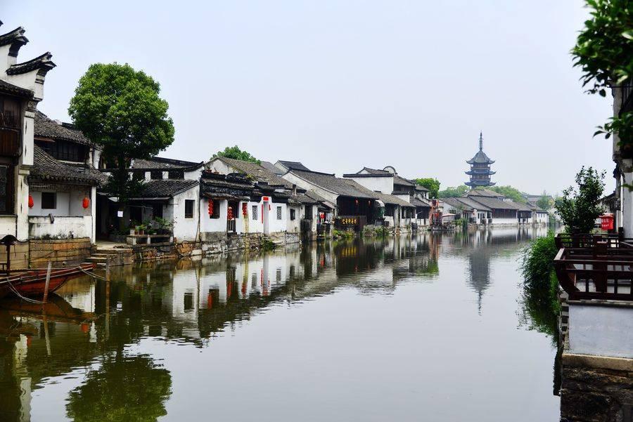 贝乐虎海洋知识探索:鱼为什么能在水里呼吸?它有独特的呼吸器官-专业有问必答平台